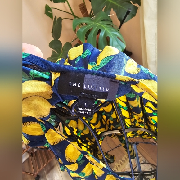 Long Limited Lemon Print Sleeveless Blouse - Picture 3 of 3